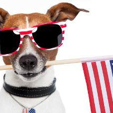 4 Simple 4th of July Party Tips - My Backyard Decor