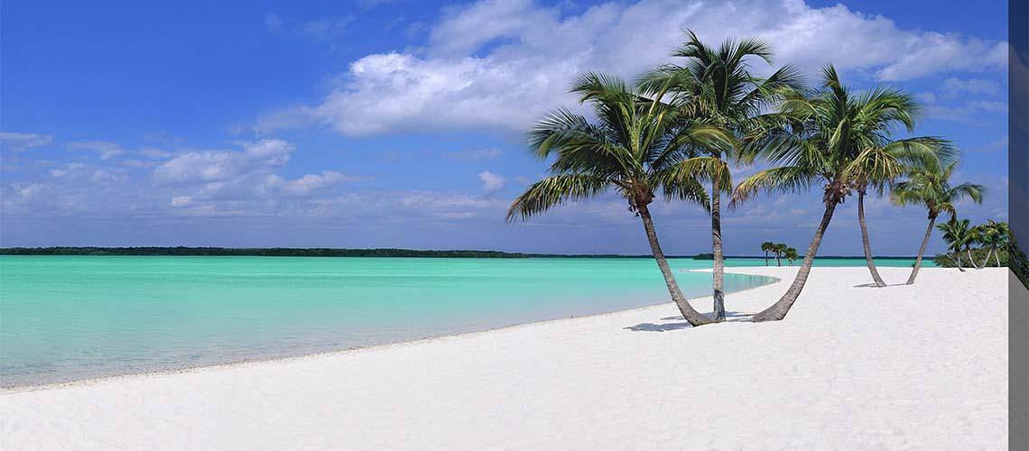 Coastal - My Backyard Decor