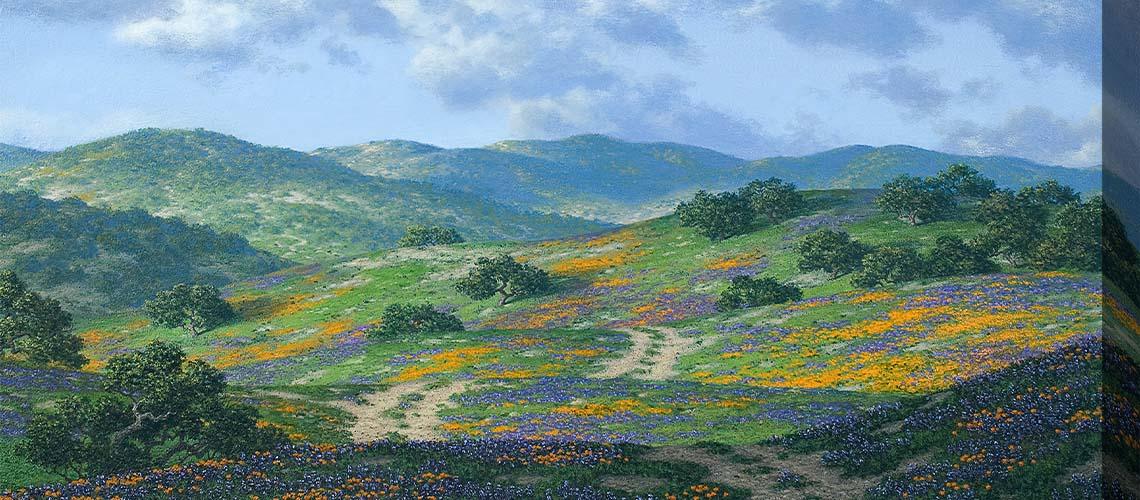 Landscape - My Backyard Decor