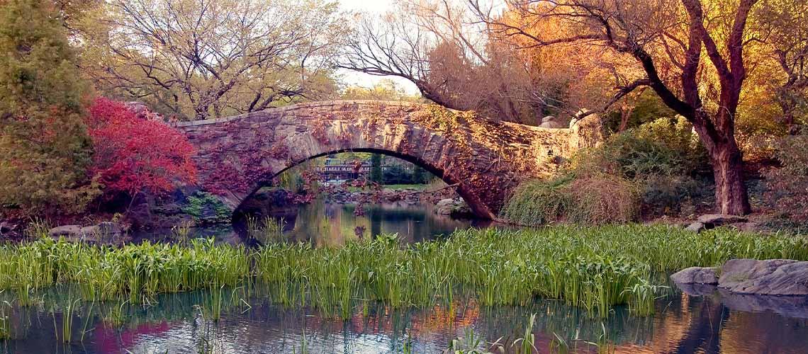 Nature - My Backyard Decor