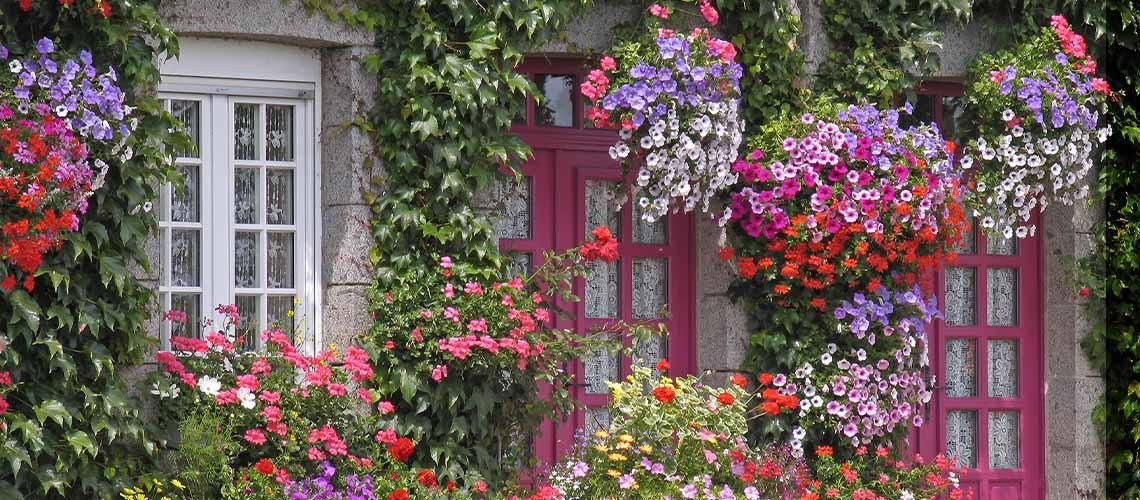 Home - My Backyard Decor