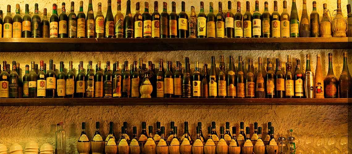 European - My Backyard Decor