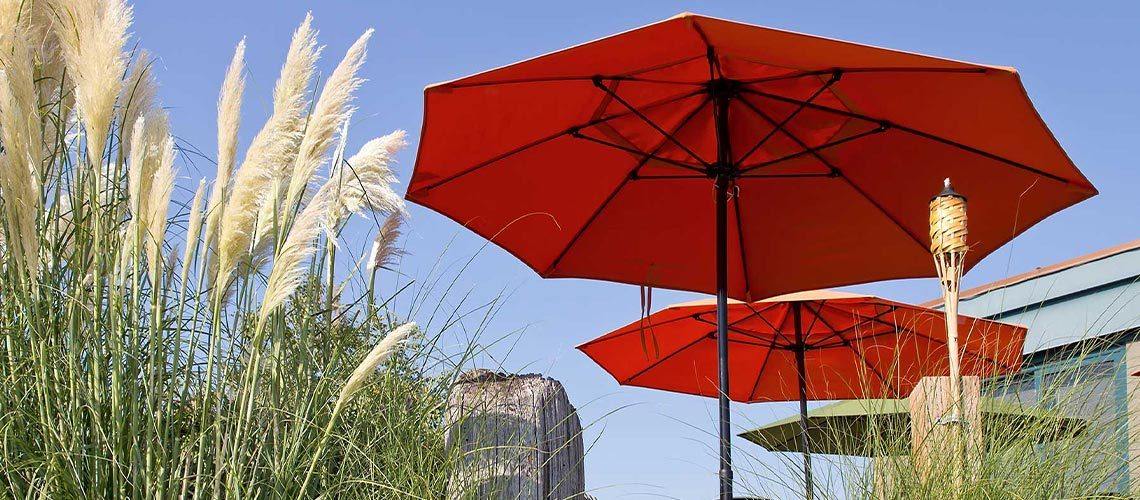 Umbrellas & Bases - My Backyard Decor