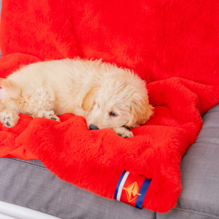 Red Faux Fur Long Lap Blanket