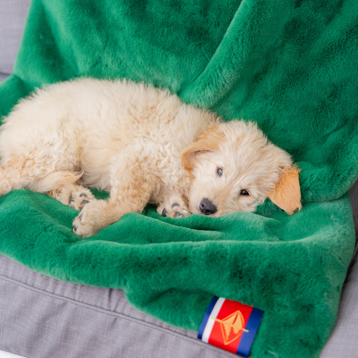 Green Faux Fur Long Lap Blanket