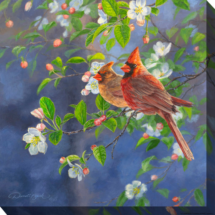 Outdoor Canvas Art 24x24 Spring Arrives