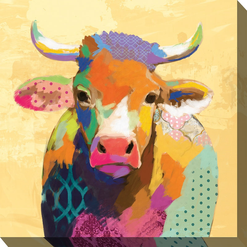 Outdoor Canvas Art 24x24 Patches