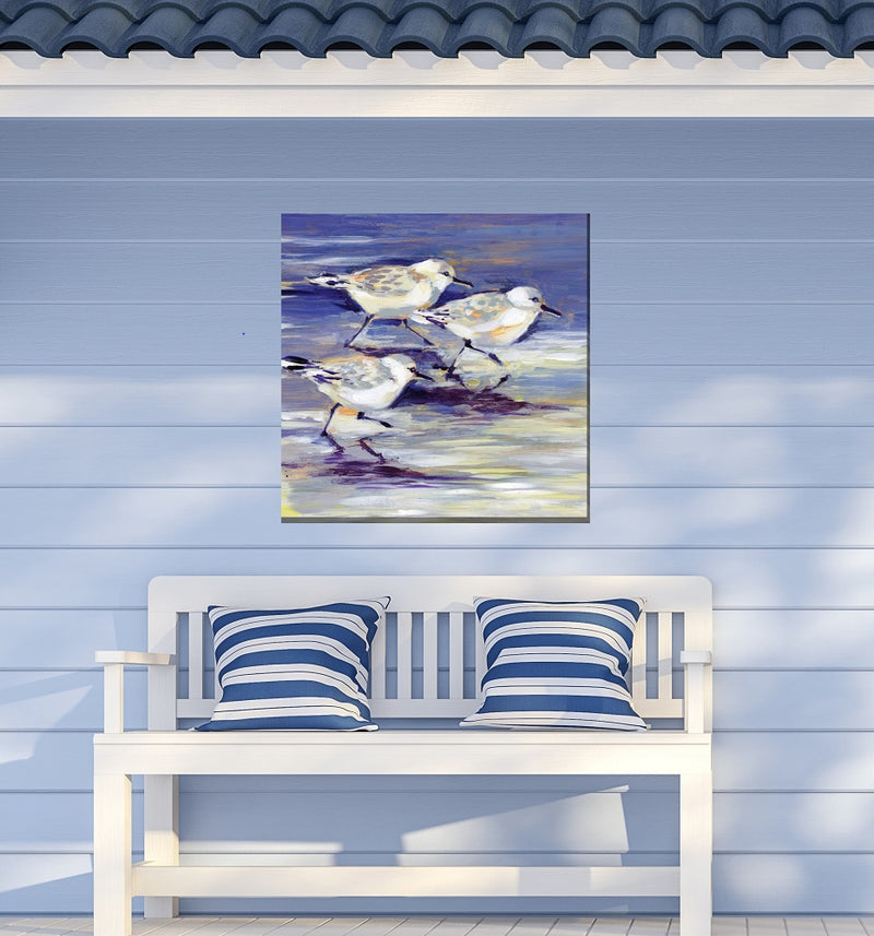 Outdoor Canvas Art 24x24 Sandpipers