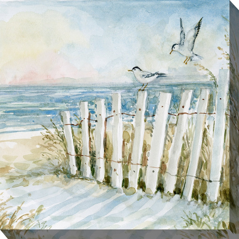 Outdoor Canvas Art 24x24 Birds Eye View No 3