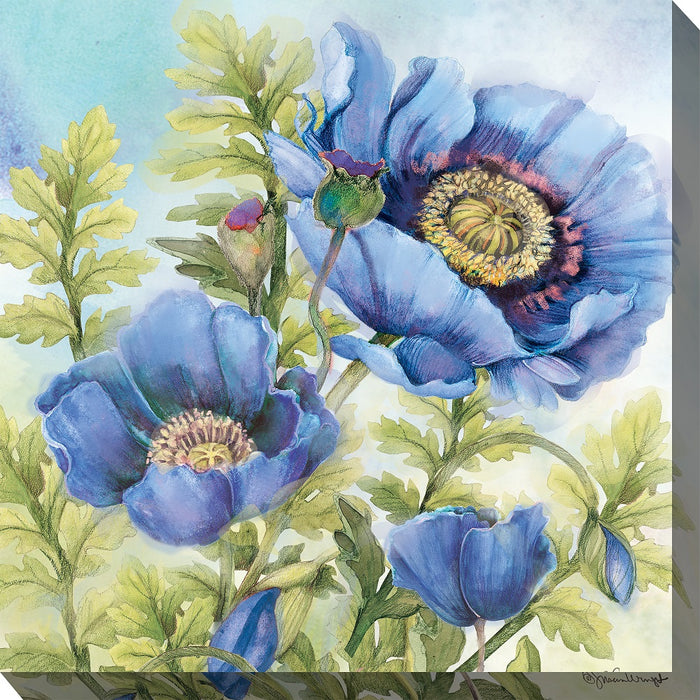 Outdoor Canvas Art 24x24 Blue Poppies