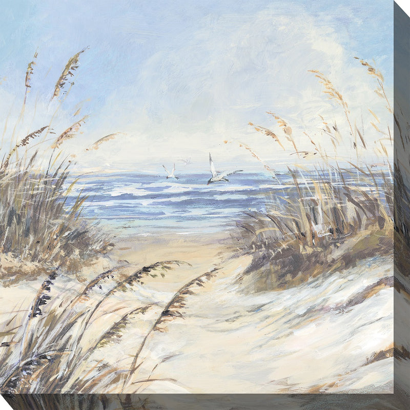 Outdoor Canvas Art 24x24 Beach Grass