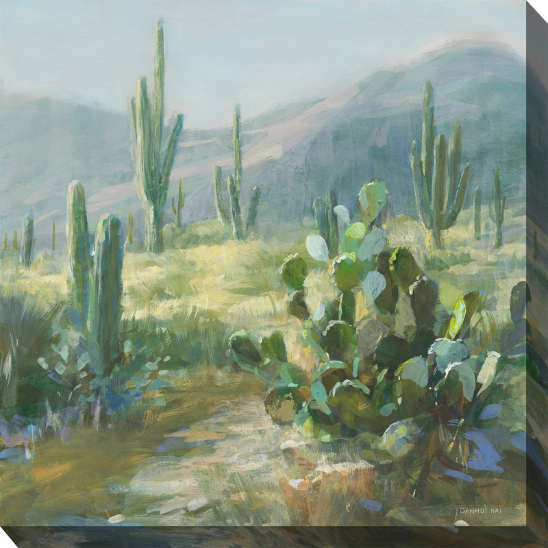 Outdoor Canvas Art 24x24 Sage Plateau