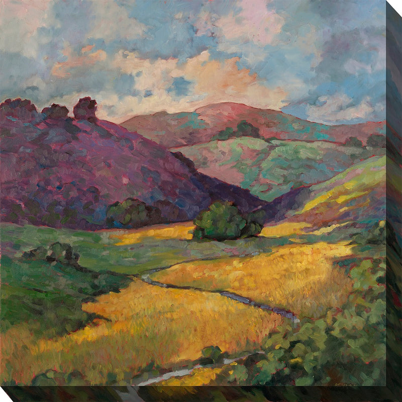 Outdoor Canvas Art 24x24 Golden Hillside