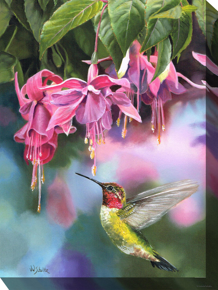 Outdoor Canvas Art 30x40 Fuschia & Hummer