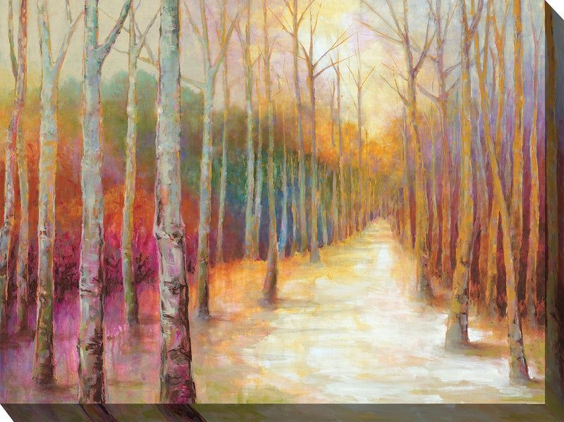 Outdoor Canvas Art 40x30 Dappled Forest