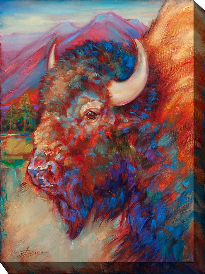 Outdoor Canvas Art 30x40 Bulls Eye