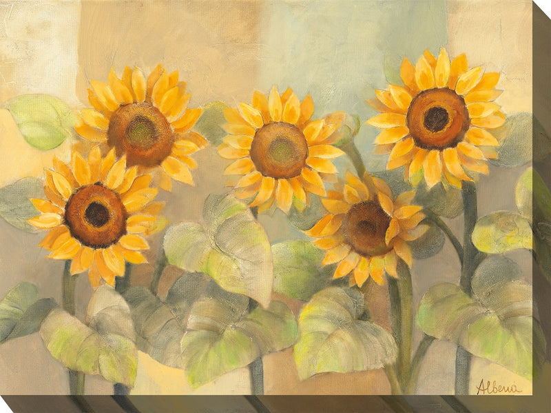 Outdoor Canvas Art 40x30 Sunshades