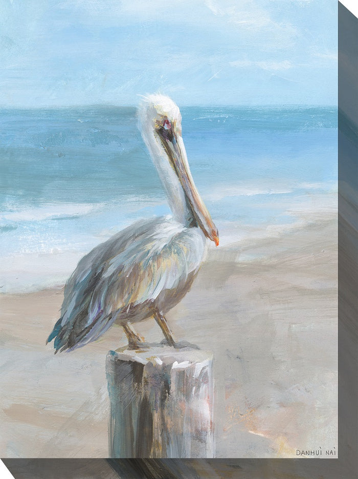 Outdoor Canvas Art 30x40 Pelican Portrait