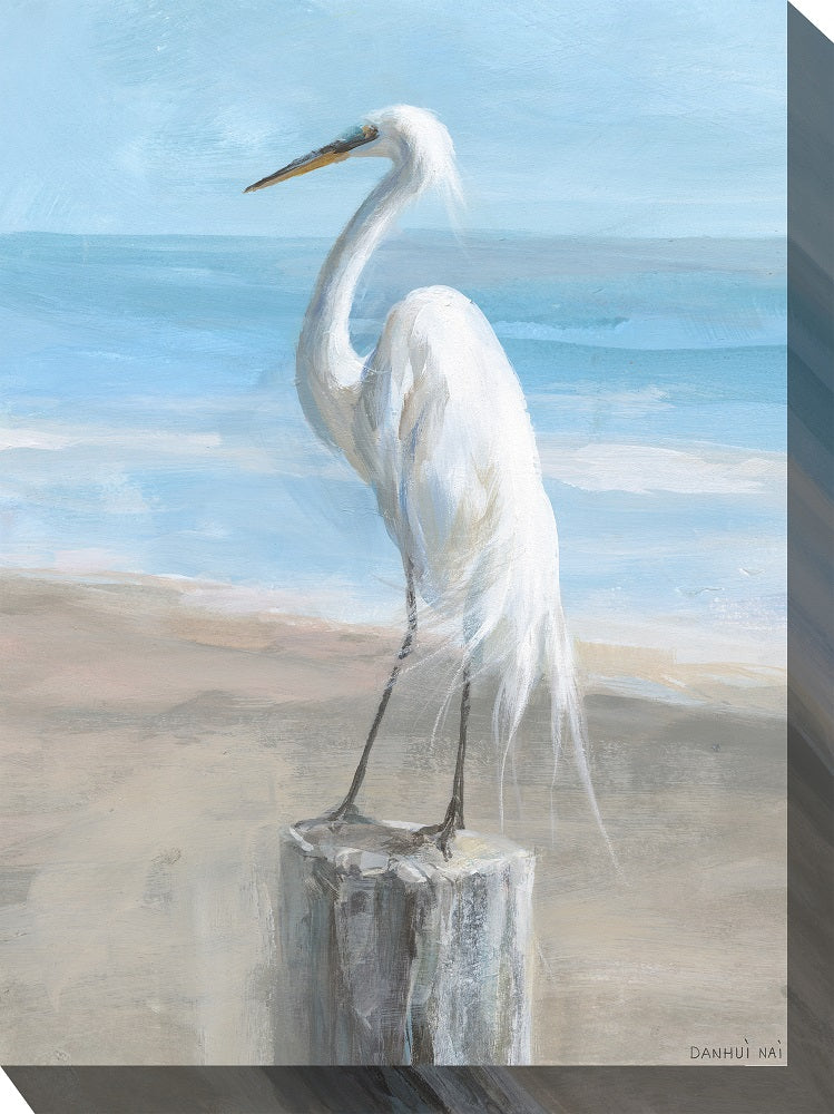 Outdoor Canvas Art 30x40 Egret Portrait