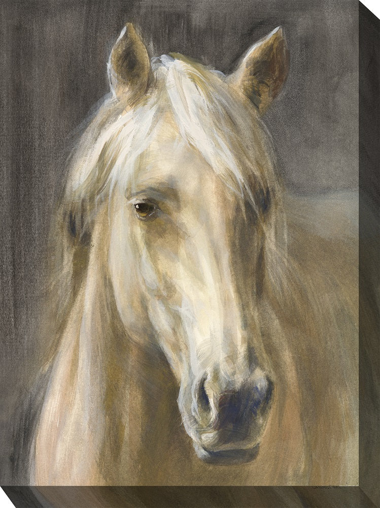 Outdoor Canvas Art 30x40 Beauty