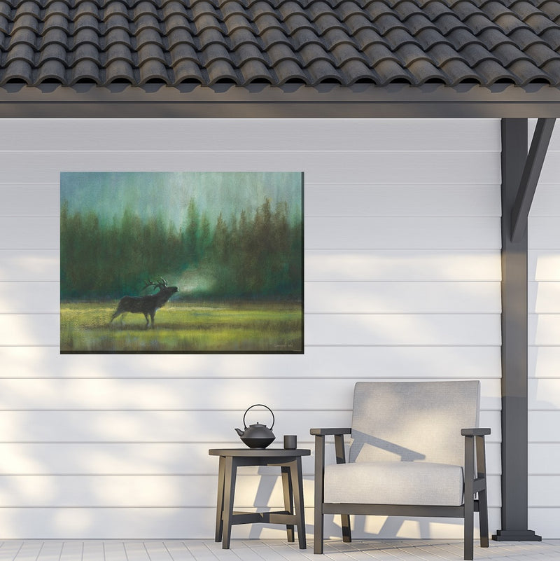 Outdoor Canvas Art 40x30 In the Wild