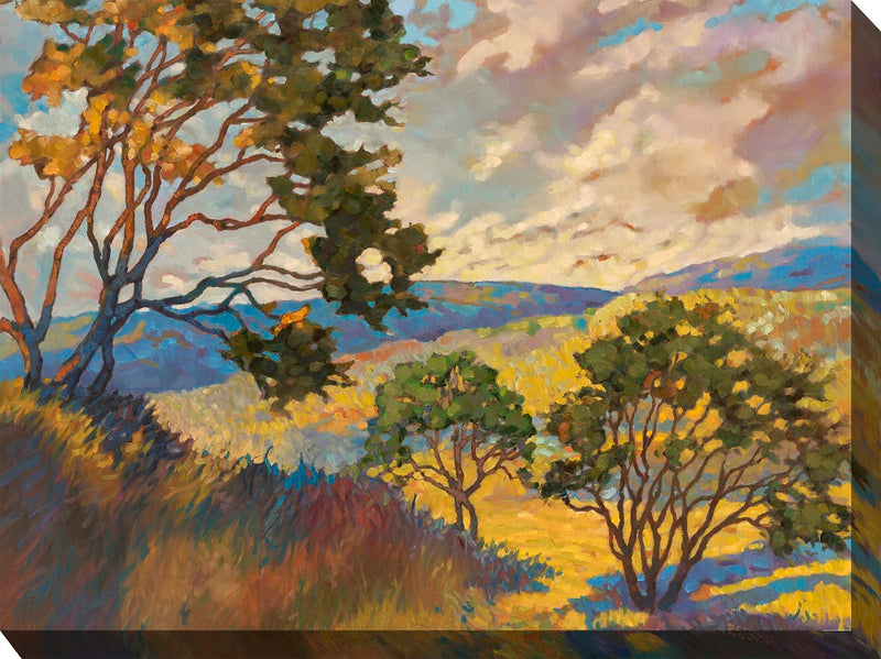 Outdoor Canvas Art 40x30 No Boundaries