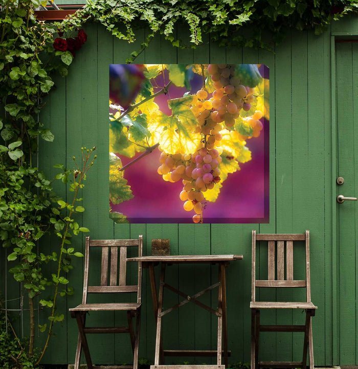 Outdoor Canvas Art 24x24 Istrian - My Backyard Decor