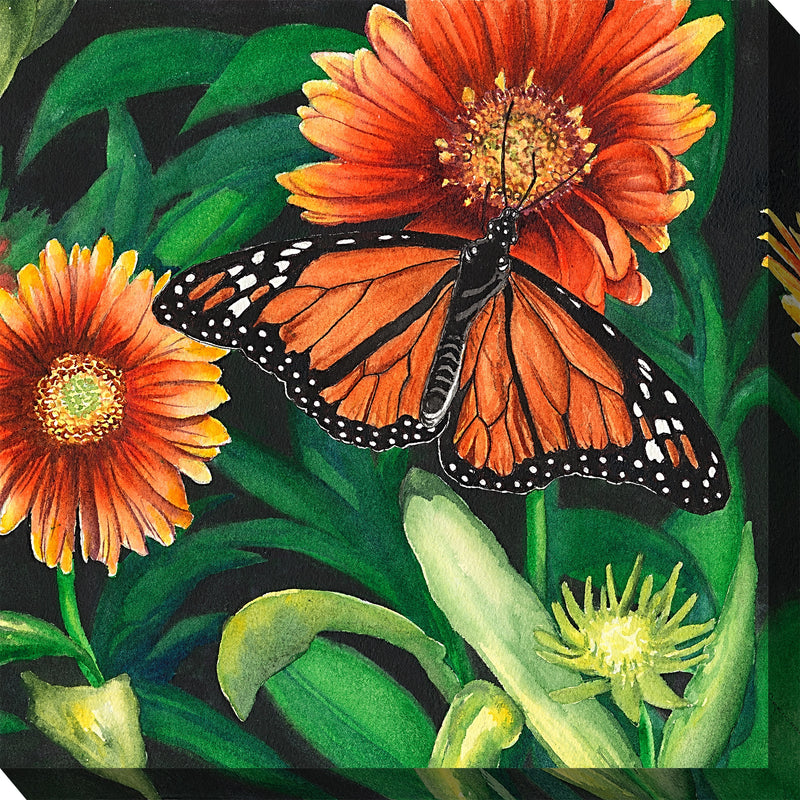 Outdoor Canvas Art 24x24 Monarch