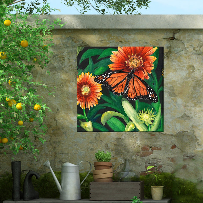 Outdoor Canvas Art 24x24 Monarch