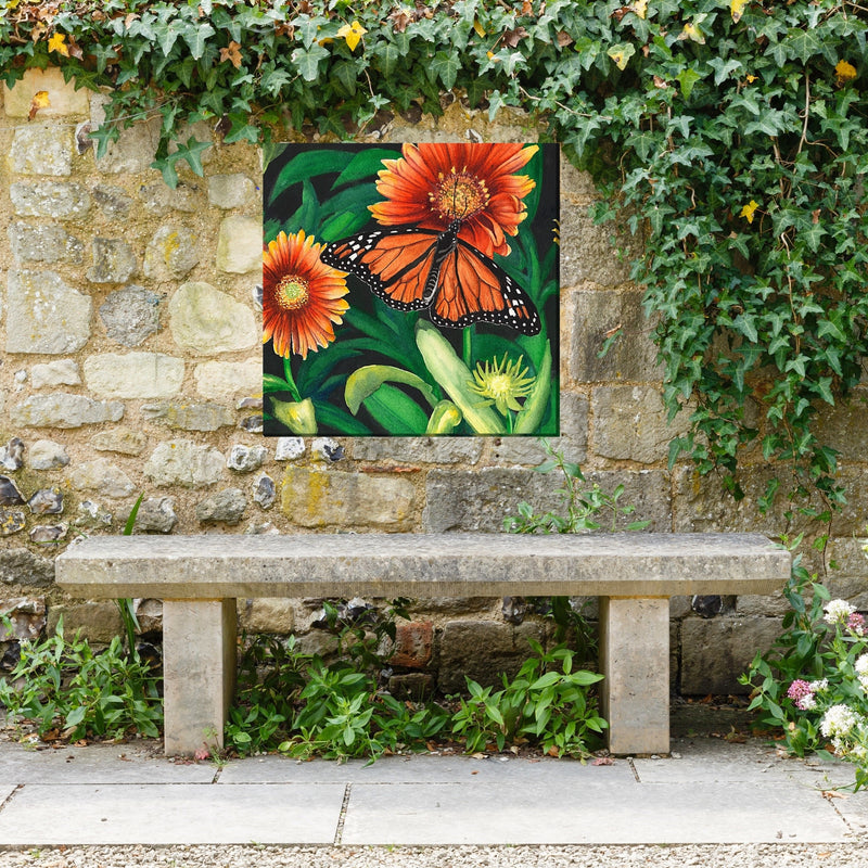 Outdoor Canvas Art 24x24 Monarch