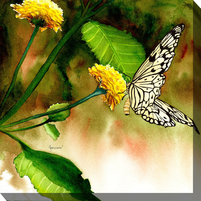 Outdoor Canvas Art 24x24 Butterfly Kiss