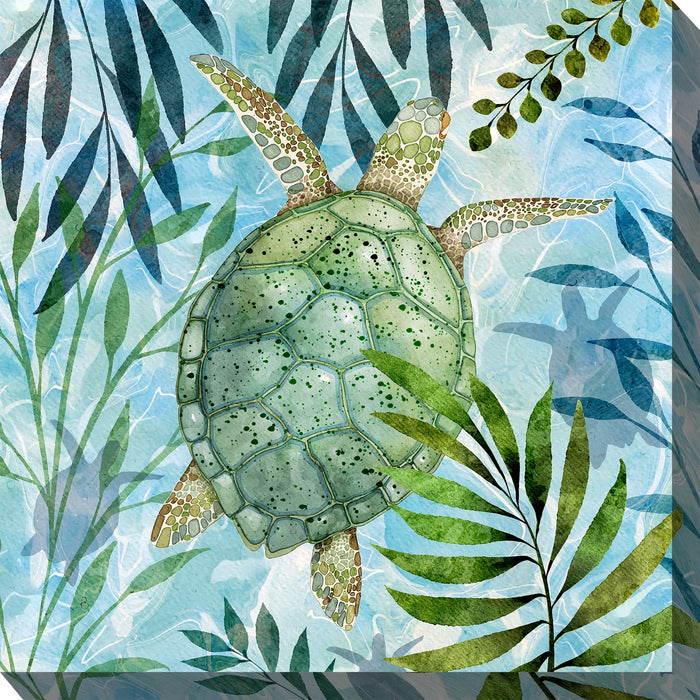 Outdoor Canvas Art 24x24 Coastal Turtle
