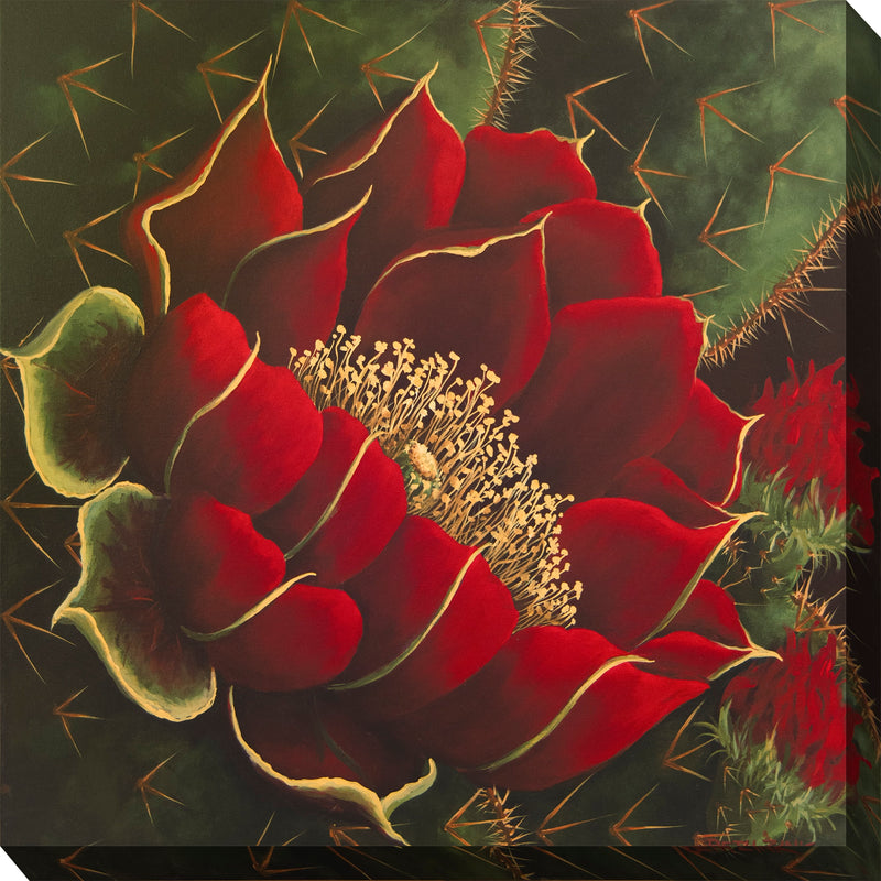 Outdoor Canvas Art 24x24 Desert Queen