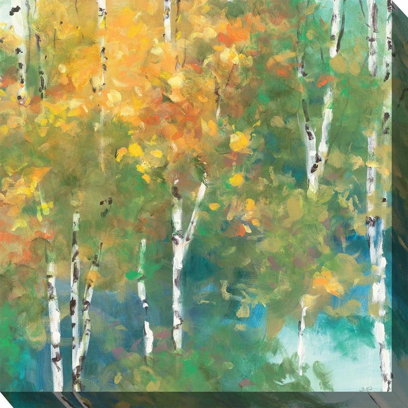 Outdoor Canvas Art 24x24 Obscure Forest - My Backyard Decor