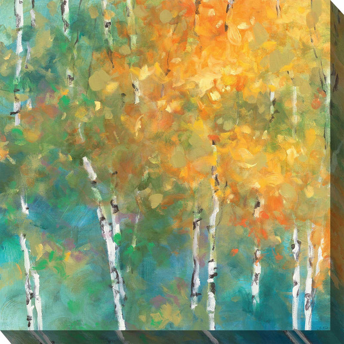 Outdoor Canvas Art 24x24 Obscure Forest - My Backyard Decor