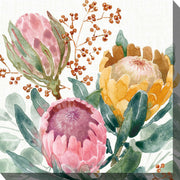 Outdoor Canvas Art 24x24 Protea Passion - My Backyard Decor