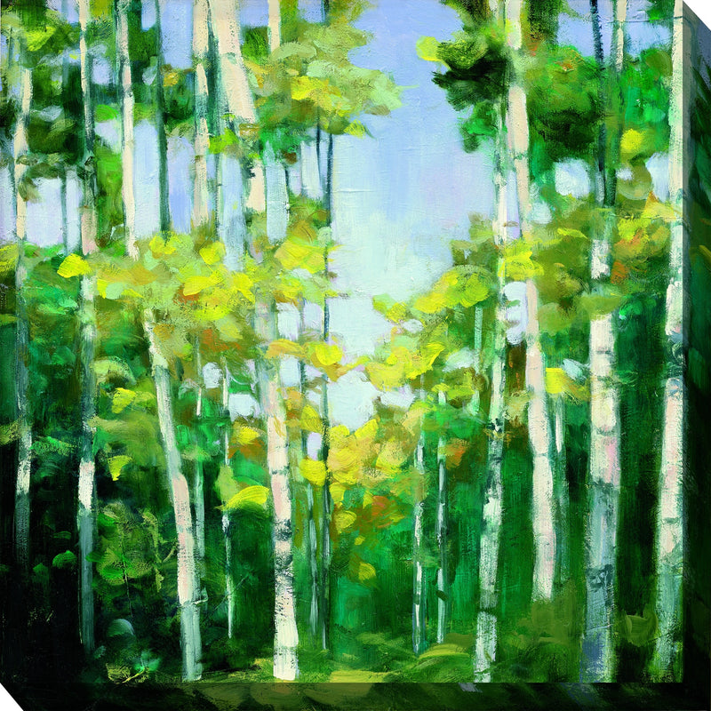 Outdoor Canvas Art 24x24 Creek Branches