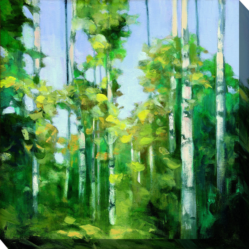 Outdoor Canvas Art 24x24 Creek Branches