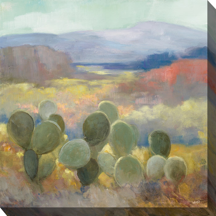 Outdoor Canvas Art 24x24 Desert Bluffs
