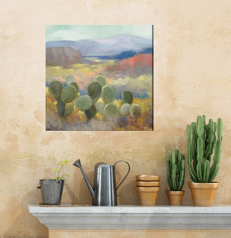 Outdoor Canvas Art 24x24 Desert Bluffs