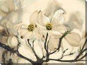 Outdoor Canvas Art 40x30 Dogwood Watercolor - My Backyard Decor