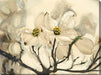 Outdoor Canvas Art 40x30 Dogwood Watercolor - My Backyard Decor