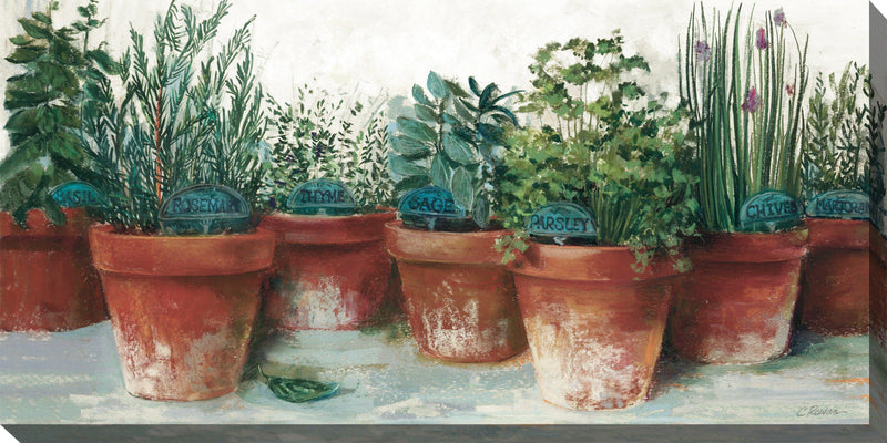 Outdoor Canvas Art 48x24 Kitchen Herbs - My Backyard Decor