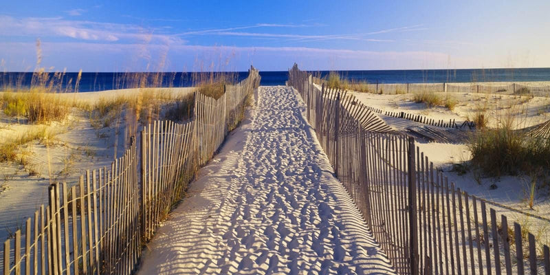 Outdoor Canvas Art 48x24 Beach Walk - My Backyard Decor