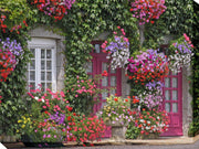 Outdoor Canvas Art 40x30 Brittany Beauty - My Backyard Decor