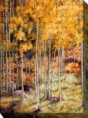 Outdoor Canvas Art 30x40 Hidden Gold - My Backyard Decor