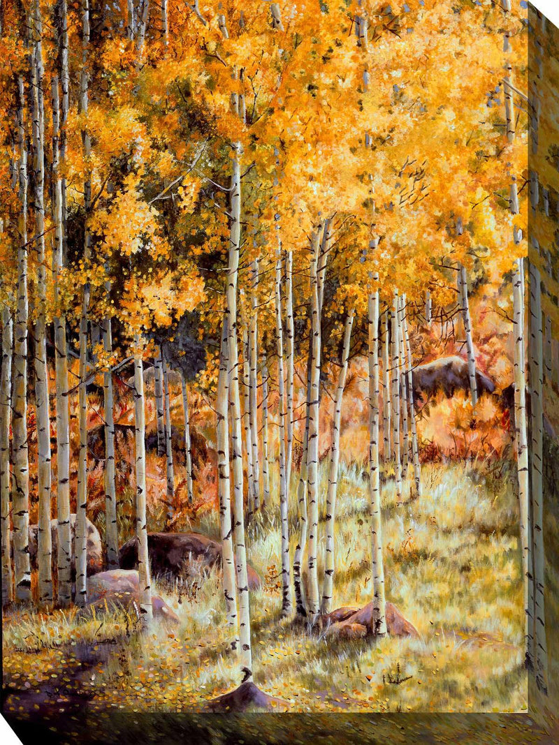 Outdoor Canvas Art 30x40 Hidden Gold - My Backyard Decor