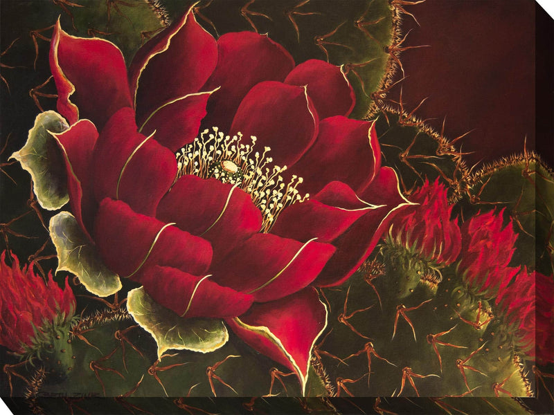 Outdoor Canvas Art 40x30 Scarlet Lady