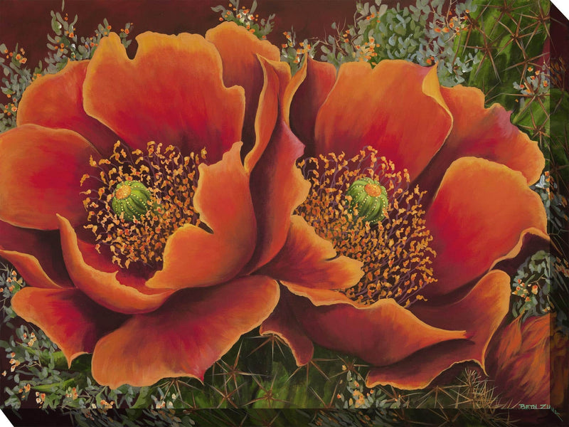 Outdoor Canvas Art 40x30 Desert Flare