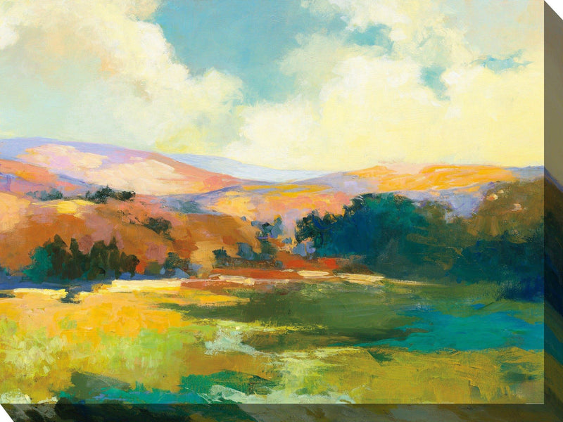 Outdoor Canvas Art 40x30 Valley of Light - My Backyard Decor